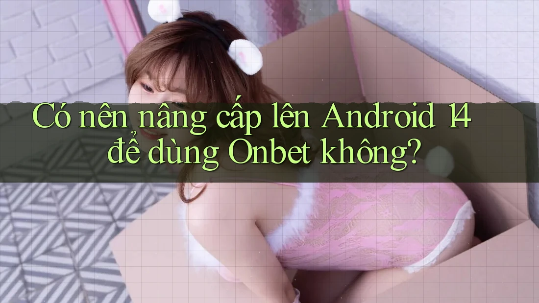 Có nên nâng cấp lên Android 14 để dùng Onbet không?