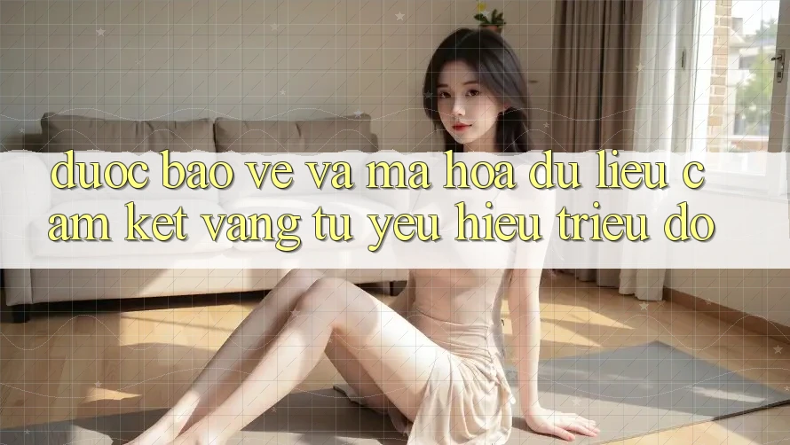 Được bảo vệ Và Mã hóa dữ liệu: Cam Kết Vàng Từ Yêu Hiệu Triệu Đô