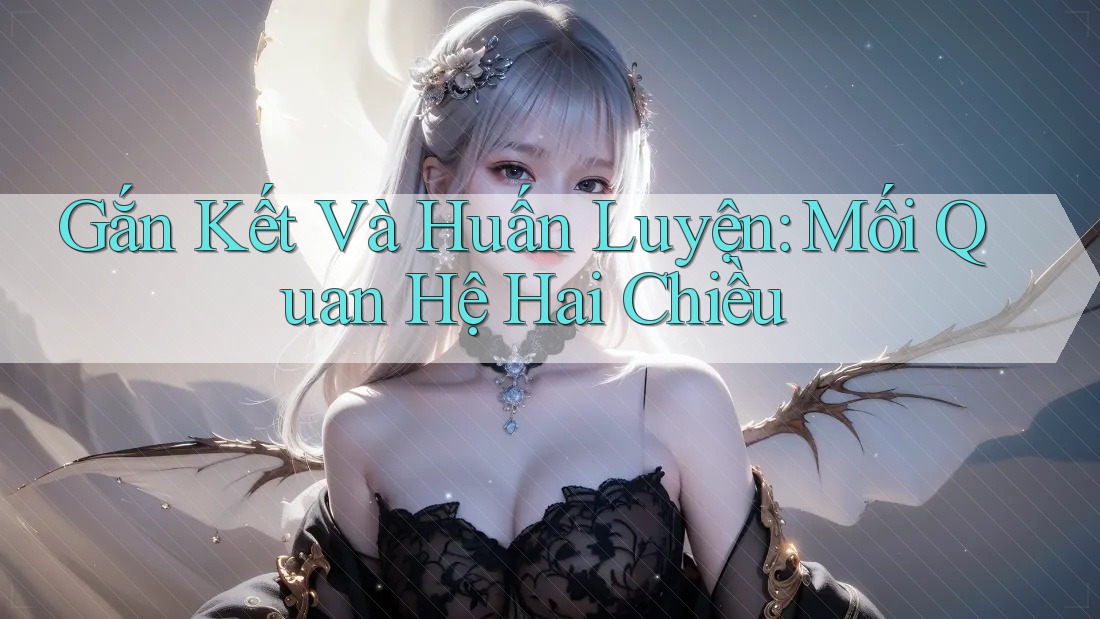 Gắn Kết Và Huấn Luyện: Mối Quan Hệ Hai Chiều
