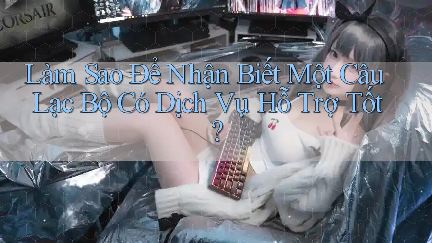 Làm Sao Để Nhận Biết Một Câu Lạc Bộ Có Dịch Vụ Hỗ Trợ Tốt?