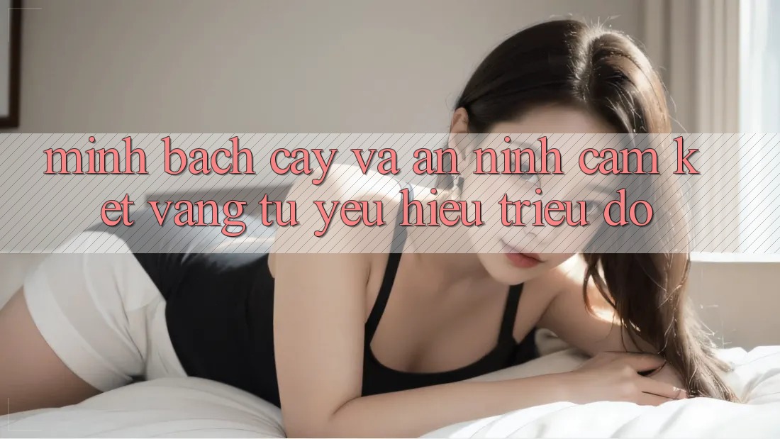 Minh bạch cậy Và An ninh: Cam Kết Vàng Từ Yêu Hiệu Triệu Đô
