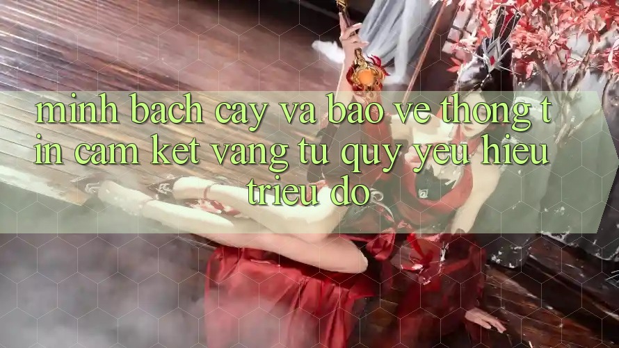 Minh bạch cậy Và Bảo vệ thông tin: Cam Kết Vàng Từ Quý yêu Hiệu Triệu Đô