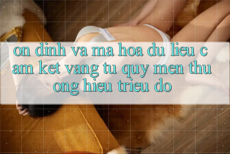 Ổn định Và Mã hóa dữ liệu: Cam Kết Vàng Từ Quý mến thương Hiệu Triệu Đô