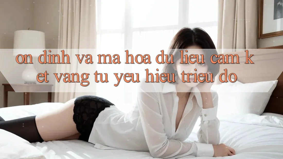 Ổn định Và Mã hóa dữ liệu: Cam Kết Vàng Từ Yêu Hiệu Triệu Đô