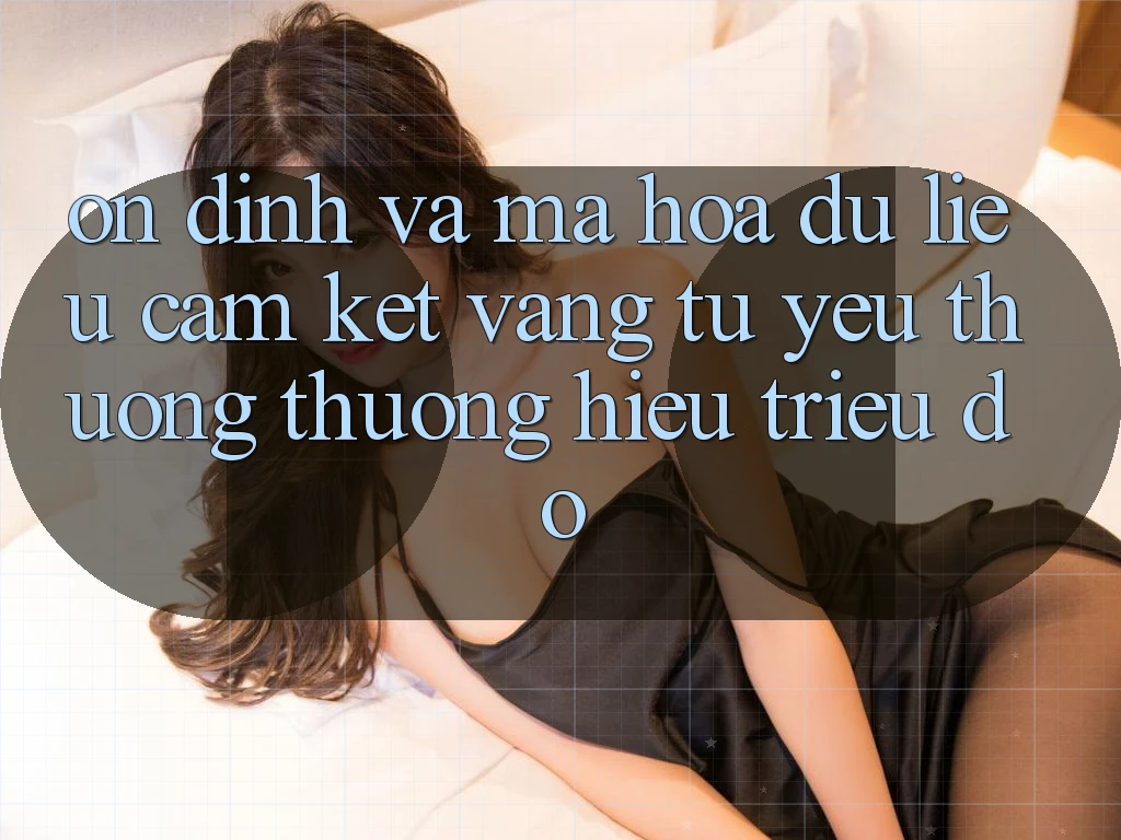 Ổn định Và Mã hóa dữ liệu: Cam Kết Vàng Từ Yêu thương thương Hiệu Triệu Đô