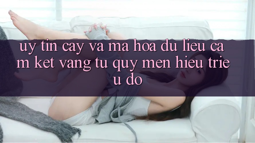 Uy tín cậy Và Mã hóa dữ liệu: Cam Kết Vàng Từ Quý mến Hiệu Triệu Đô